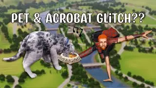Odd Sims 3 Pets Glitch | Acrobat Dog