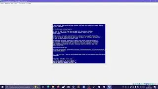 AHA Finger Family Has Bsod VM