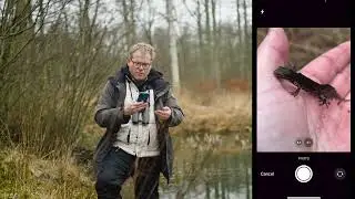 Lær naturen at kende med appen Arter