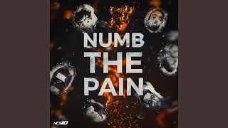 Numb The Pain