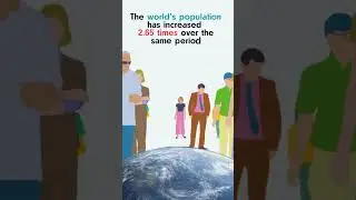 Milk production in the world 1961-2022  #news