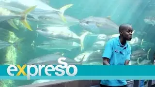 Labour of Love: Msa Maseko, Visitor Services Supervisor