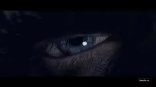 R6: Siege - Glaz