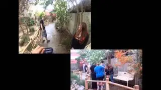 go to the zoo last chapter