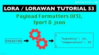 LoRa/LoRaWAN tutorial 53: Payload Formatters (V3), fport and json