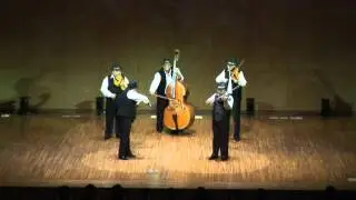 Taraful Ardealul al Casei Municipale de Cultura Gherla - Concert Yokohama 2010