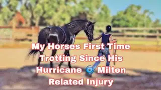 He's really coming along in his healing and learning new things too! 🥰 🥰 🥰