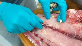 Why you should always cook your fish!