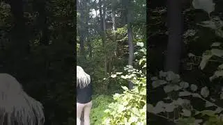Somewhere in the wilderness