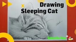 Sleeping Cat Pencil Drawing - Time-lapse | Sketch Zone