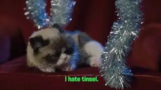 Why Does Grumpy Cat Hate The Holidays?