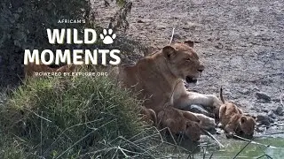 Wild Moments Show with special guest Mike Fitz | March 7