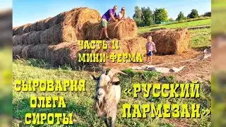 Истринская сыроварня Олега Сироты. Русский пармезан. | Мини-ферма | Контактный зоопарк. Часть 2