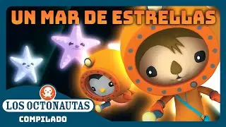 Los Octonautas - 🌊 Un mar de estrellas ✨ | Episodios Completos | Compilado