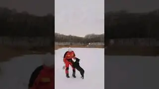 открыли зимний сезон⛄  до нг месяц🌨️ #perrodog #топ #рек #собаки #новыйгод
