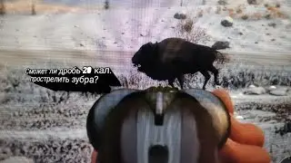 сможет ли virant и дробь 20 калибра убить зубра?! в игре theHunter  Call of the Wild