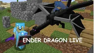 BEATING THE ENDER DRAGON (StonesCraft)