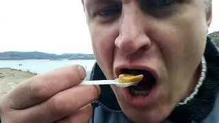 как есть морского ежа