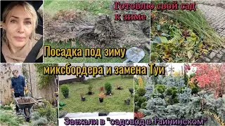 Готовлю сад к зиме. Обрезаю розы в саду. Сажаю под зиму миксбордер. Садовый центр в Тайнинском.