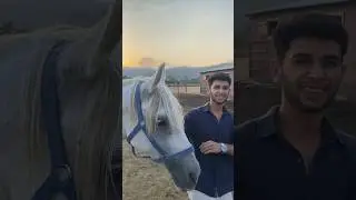 Atınız çok güzelmiş ne iş yapıyorsunuz