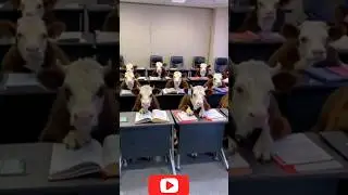 Hum thk hain🤣🤣/हम ठीक हैं.  #funny #trending #viral #shorts