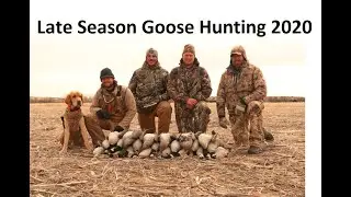 Goose Hunting 2020 (late Season)