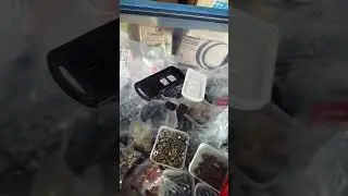 unlock remot bekas pcx 160 dan vario 150 agar bisa di pakai lagi