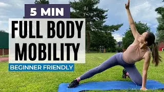 Improve Your Mobility in 5 min | Daily Routine