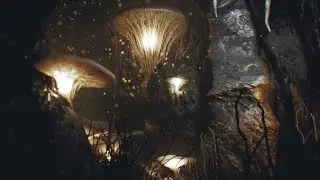 Deep Elder Caves by Alexander S - UE4