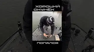 ХОРОШИЙ ОКУНЁК #спиннинг #рыбалка #блесна #окунь #окуньнаджиг  #аэролодка