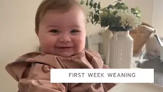 FIRST WEEK WEANING | FIRST TASTES | WEANING MY 5.5 MONTH OLD