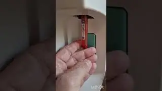 У коровы плохой вкус молока и запах молока не приятный Есть ответ после обследования, осмотра коровы