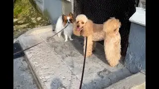 Никак не расстаться 😂