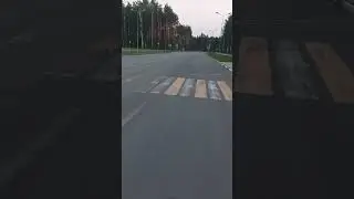 шорох8081