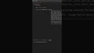 How To Make A Text to Speech Program In Python 