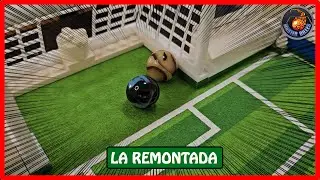 SAISON 3 - JOURNÉE 16 | RETOURNEMENT DE SITUATION AU CLASSEMENT