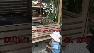 Kelinci Lucu Di Gembira Loka Zoo #kelinci #wisatasatwa #glzoo