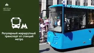 Лесная сказка Троицк