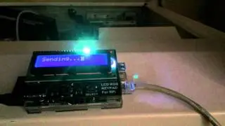 Piforce Naomi