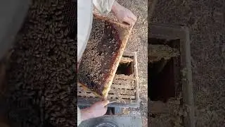 2 Sene İlgilenmedik Neredeyse Sönecekmiş