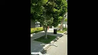 Funny things captured by Google Earth #funny #things @earthvision635