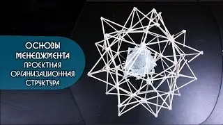 Основы менеджмента. Проектная организационная структура.
