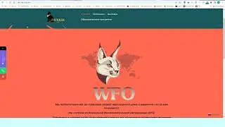WFO -  пустышка, ЛЕНКОТ -  миллионер.
