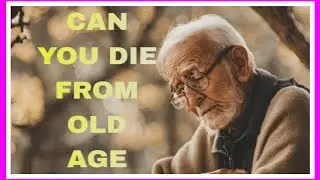 Can You Actually Die From Old Age?