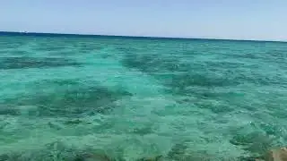 Египет