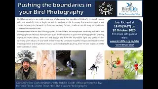Conservation Conversations: Richard Flack - Pushing the Boundaries of Your Photography (20Oct20)