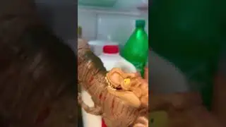 Dinosaurios peliando 🦖