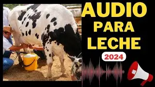 📢AUDIO para Vender LECHE 2024 🥛🐄