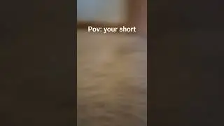 pov: your short #fyp
