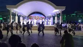 Виорика - Молдавский
